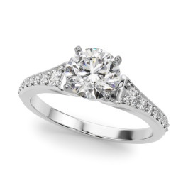 REMOUNT RING