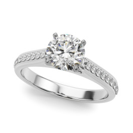REMOUNT RING