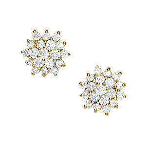 EARRINGS CLUSTER