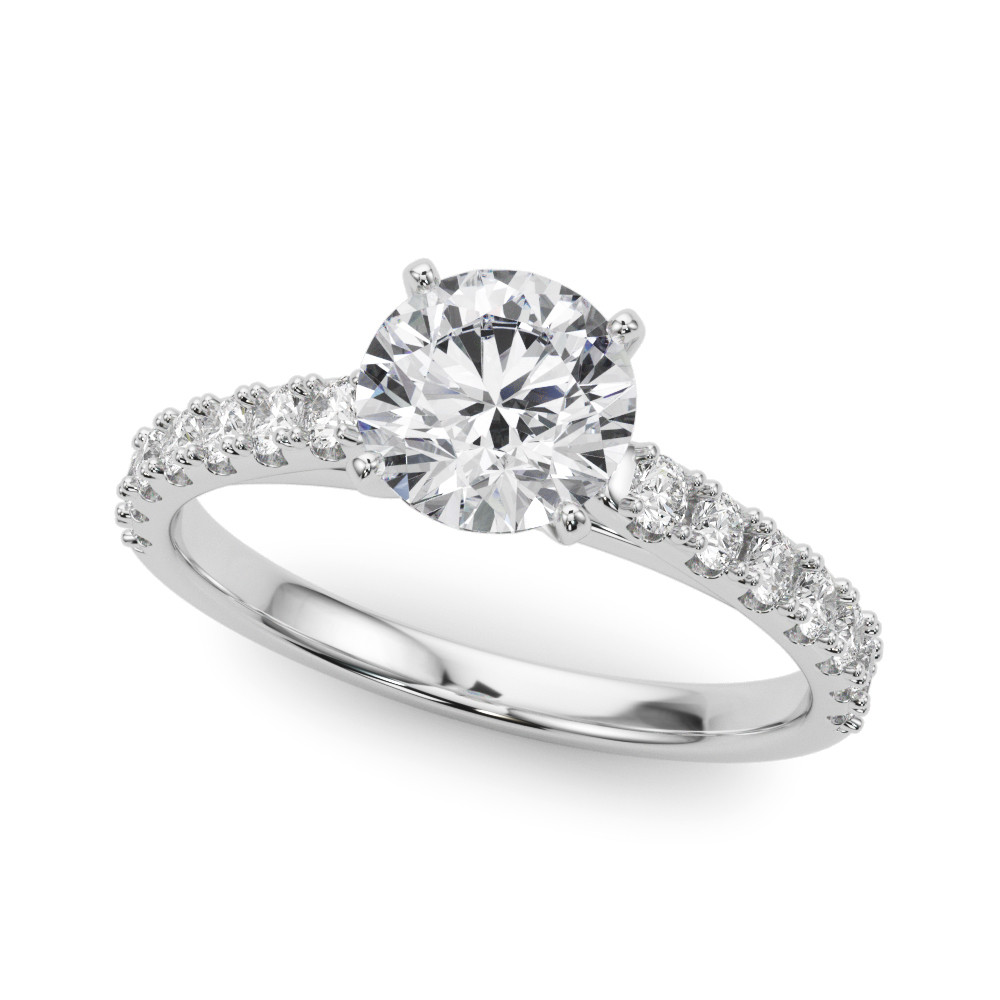 REMOUNT RING
