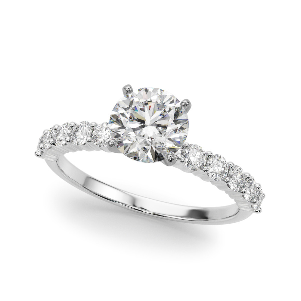 REMOUNT RING