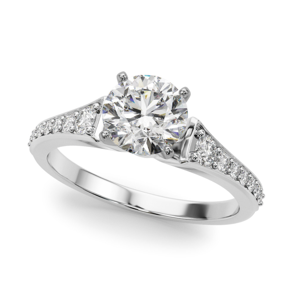 REMOUNT RING