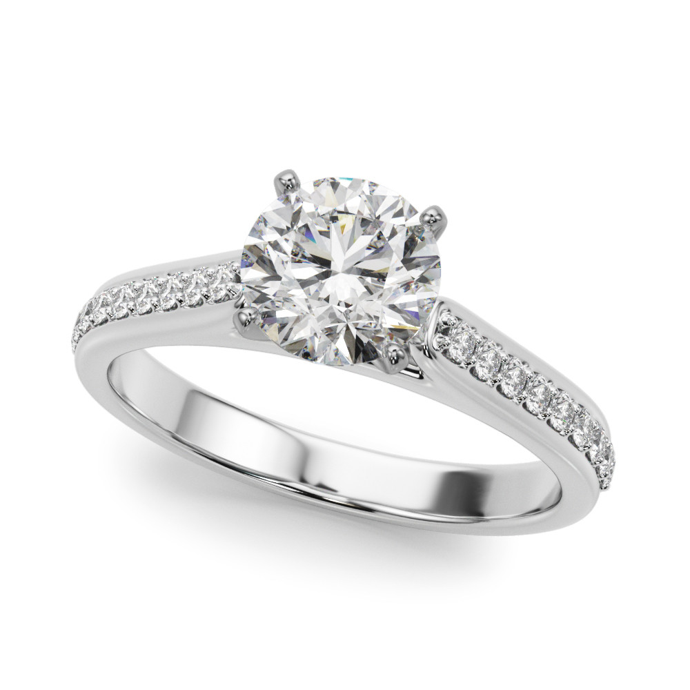 REMOUNT RING