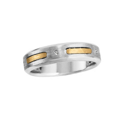 GENTS DIAMOND ACCENT BAND SATIN FINISH