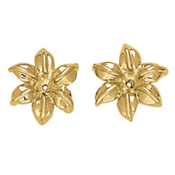 EARRING JACKETS