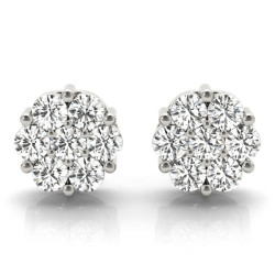 EARRINGS CLUSTER