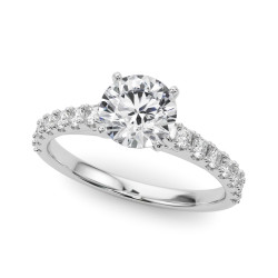 REMOUNT RING