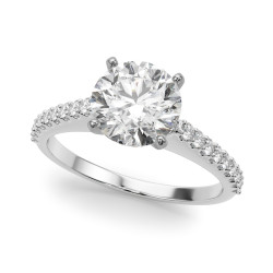 REMOUNT RING