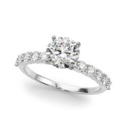 REMOUNT RING