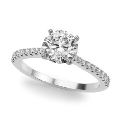 REMOUNT RING
