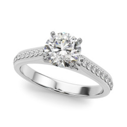 REMOUNT RING